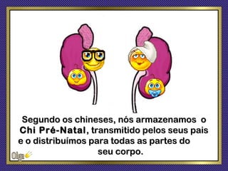 Segundo os chineses, nós armazenamos o
Chi Pré-Natal , transmitido pelos seus pais
e o distribuímos para todas as partes do
                   seu corpo.
 