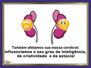 Também afetamos sua massa cerebral:
influenciamos o seu grau de inteligência,
       de criatividade e de astúcia!
 
