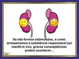 Se não formos estimulados, e como
armazenamos a substância responsável por
   mantê-lo vivo, graves conseqüências
           podem acontecer...
 