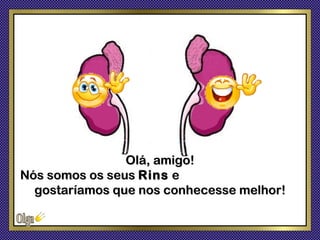 Olá, amigo!
Nós somos os seus Rins e
  gostaríamos que nos conhecesse melhor!
 
