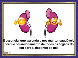 É essencial que aprenda a nos manter saudáveis,
 porque o funcionamento de todos os órgãos do
          seu corpo, depende de nós!
 