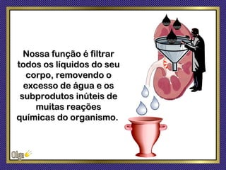 Nossa função é filtrar
todos os líquidos do seu
  corpo, removendo o
  excesso de água e os
 subprodutos inúteis de
     muitas reações
químicas do organismo.
 