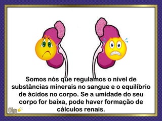 Somos nós que regulamos o nível de
substâncias minerais no sangue e o equilíbrio
  de ácidos no corpo. Se a umidade do seu
  corpo for baixa, pode haver formação de
              cálculos renais.
 