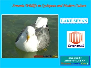 LAKE SEVAN Armenia Wildlife in Cyclopean and Modern Culture (prepared by Armine IVANYAN Welcome Armenia . Com  )  