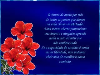 O  Ponto de apoio por trás  de todos os passos que damos  na vida chama-se  atitude.   Uma mente aberta proporciona  crescimento e ninguém aprende  nada se não admitir que  não conhece tudo.  Se a capacidade de escolher é nossa  maior liberdade, não podemos  abrir mão de escolher o nosso  caminho.  