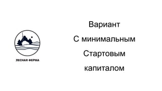 Вариант
С минимальным
Стартовым
капиталом
 