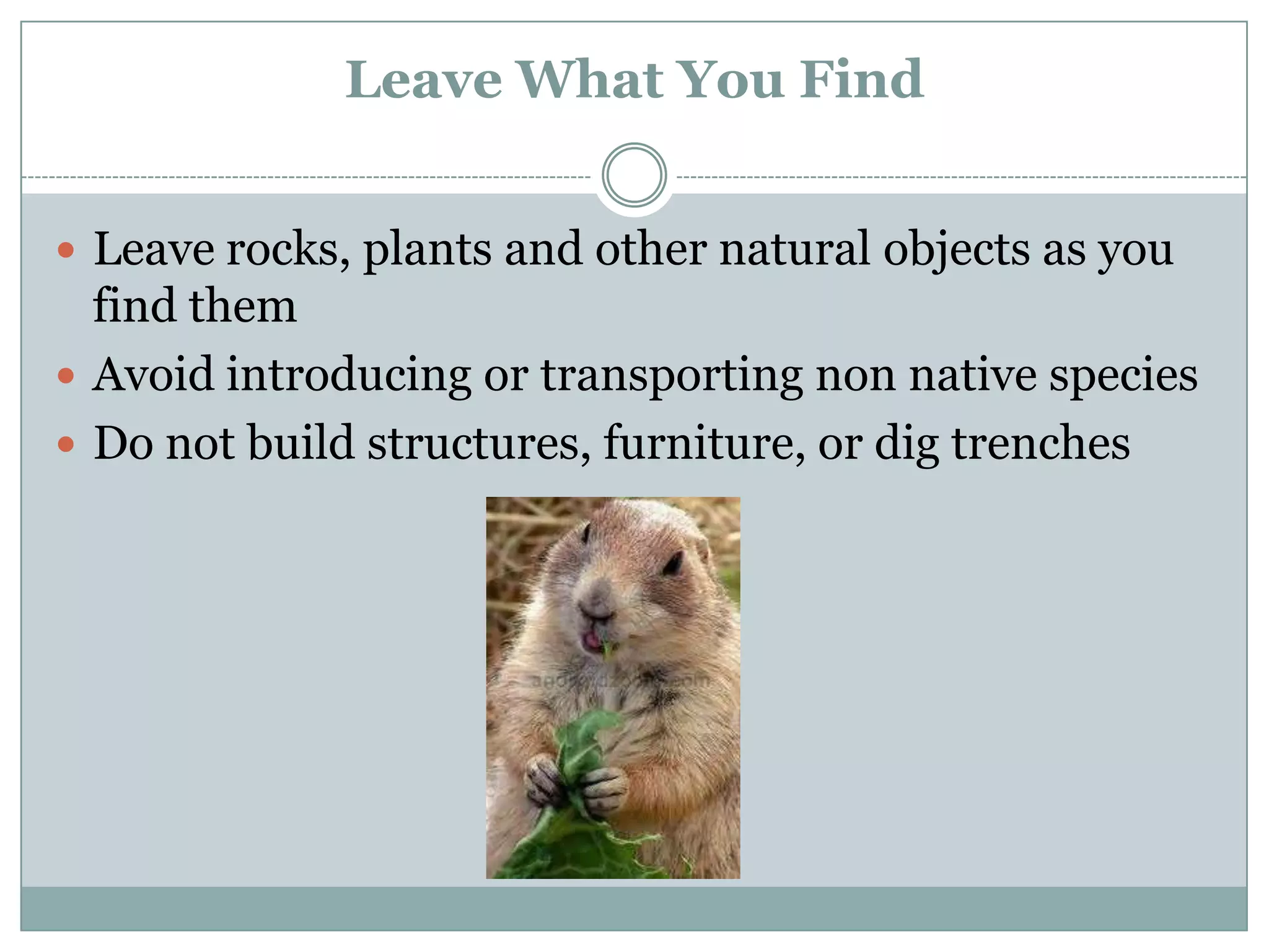 Seven basic leave no trace tips ppt