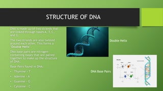 STRUCTURE OF DNA
DNA is made up of two strands that
are linked through bases A, T, C,
and G.
The two strands are also twis...