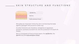 S K I N S T R U C T U R E A N D F U N C T I O N S
Skin plays an important immunity role in protecting the body
against pathogen and excessive water loss.
Its other functions are insulation, temperature regulation,
sensation, synthesis of vitamin D, and the protection of vitamin B
folates.
Skin is composed of three primary layers: the epidermis, the
dermis and the subcutaneous tissue.
Naskórek
Skóra właściwa
Tkanka podskórna
Epidermis
Dermis
Subcutaneous tissue
 
