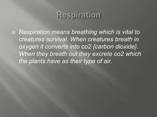    Respiration means breathing which is vital to
    creatures survival. When creatures breath in
    oxygen it converts into co2 {carbon dioxide}.
    When they breath out they excrete co2 which
    the plants have as their type of air.
 