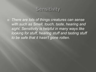    There are lots of things creatures can sense
    with such as Smell, touch, taste, hearing and
    sight. Sensitivity is helpful in many ways like
    looking for stuff, hearing stuff and tasting stuff
    to be safe that it hasn't gone rotten.
 