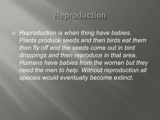    Reproduction is when thing have babies.
    Plants produce seeds and then birds eat them
    then fly off and the seeds come out in bird
    droppings and then reproduce in that area.
    Humans have babies from the woman but they
    need the men to help. Without reproduction all
    species would eventually become extinct.
 