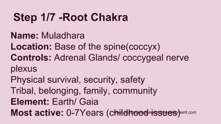 Step 1/7 -Root Chakra 
Name: Muladhara 
Location: Base of the spine(coccyx) 
Controls: Adrenal Glands/ coccygeal nerve 
plexus 
Physical survival, security, safety 
Tribal, belonging, family, community 
Element: Earth/ Gaia 
Most active: 0-7Years (childhood issues) 
www.spiritualandpersonaldevelopment.com 
 