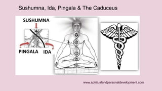 Sushumna, Ida, Pingala & The Caduceus 
www.spiritualandpersonaldevelopment.com 
 