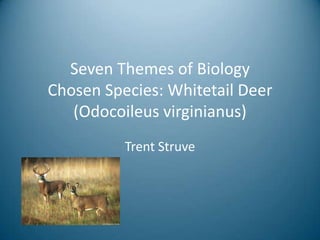 Seven Themes of BiologyChosen Species: Whitetail Deer (Odocoileusvirginianus) Trent Struve 
