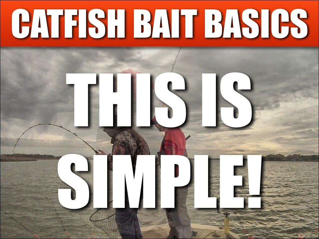 Seven Winter Catfishing Tips To Catch More Catfish Right Now