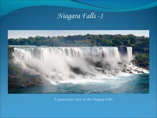 A panoramic view of the Niagara Falls  