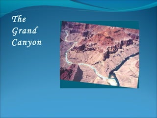 The Grand Canyon 