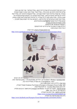 Sever maslul-tour in rwanda 2021