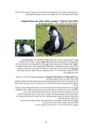 Sever maslul-tour in rwanda 2021