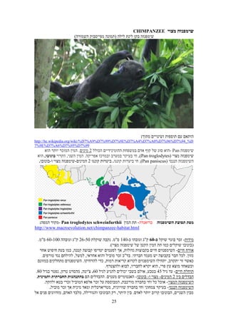 Sever maslul-tour in rwanda 2021