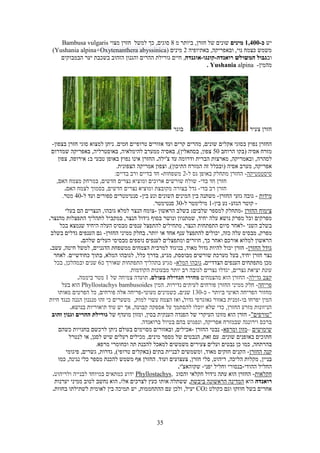 Sever maslul-tour in rwanda 2021