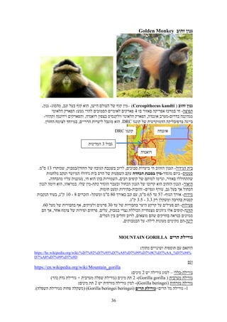 Sever maslul-tour in rwanda 2021