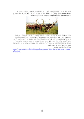 Sever maslul-tour in rwanda 2021