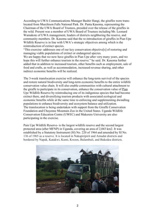 2
According to UWA Communications Manager Bashir Hangi, the giraffes were trans-
located from Murchison Falls National Park. Dr. Panta Kasoma, representing the
Chairman of the UWA Board of Trustees, presided over the release of the giraffes in
the wild. Present was a member of UWA Board of Trustees including Mr. Leonard
Wamakote of UWA management, leaders of districts neighboring the reserve, and
community members. Dr. Kasoma said that the re-introduction of giraffes in Pian Upe
Wildlife Reserve is in line with UWA’s strategic objectives among which is the
reintroduction of extinct species.
“This exercise- addresses one of our key conservation objective[s] of restoring and
managing viable populations of extinct or endangered species.
We are happy that we now have giraffes in Pian Upe after very many years, and we
hope this will further enhance tourism in the reserve.” he said. Dr. Kasoma further
added that in addition to increased tourism, other benefits such as employment, sale of
food and crafts, as well as accommodation, increased revenue sharing, and other
indirect economic benefits will be realized.
The 3-week translocation exercise will enhance the long-term survival of the species
and restore natural biodiversity and long-term economic benefits to the entire wildlife
conservation value chain. It will also enable communities with cultural attachment to
the giraffe to participate in its conservation, enhance the conservation value of Pian
Upe Wildlife Reserve by reintroducing one of its indigenous species that had become
extinct there, and diversifying tourism products with associated ecological and
economic benefits while at the same time re-enforcing and supplementing dwindling
populations to enhance biodiversity and ecosystem balance and utilization.
The translocation is being undertaken with support from the Giraffe Conservation
Foundation and Chayenne Mountain Zoo in the United States. Uganda Wildlife
Conservation Education Centre (UWEC) and Makerere University are also
participating in the exercise.
Pain Upe Wildlife Reserve- is the largest wildlife reserve and the second largest
protected area (after MFNP) in Uganda, covering an area of 2,043 km2. It was
established by a Statutory Instrument (SI) No. 220 of 1964 and amended by SI No.
136 of 1965 as a reserve. It is located in Nakapiripirit and Amudat districts and
bordered by Napak, Katakwi, Kumi, Kween, Bulambuli, and Bukedea districts.
 