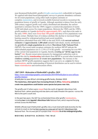 4
near threatened Rothschild's giraffe (Giraffa camelopardalis rothschildi) in Uganda.
We applied individual-based photographic surveys to generate abundance estimates
for all extant populations, using either mark-recapture estimates or
complete enumeration, and reviewed available historical records to reconstruct the
population history of giraffe in Uganda. Although anecdotal evidence from the early
20th century suggests giraffe were widely distributed and abundant, the earliest
quantitative estimates from the 1960's suggest a countrywide population of nearly
1,800 individuals across five major populations. Between the 1960's and the 1990's,
giraffe numbers in Uganda declined by approximately 90%; such that at the nadir in
the early 1990's, there were fewer than 100 giraffe and three of five populations went
locally extinct. Multiple lines of evidence attribute this decline to increased illegal
hunting caused by widespread political and social instability.
Populations rebounded from mid 1990's to the mid 2010's with current national
estimates of approximately 1,400 adult/subadult individuals, mostly attributed to
the growth of a single population in northern Murchison Falls National Park
(MFNP). Our recent mark-recapture estimates for northern MFNP indicate the
adult/subadult population size is 1,318 (±27.6 SE) giraffe – accounting for over 90%
of the current total population in Uganda, thereby creating an “all the eggs in one
basket” risk. Recent conservation measures by management authorities seek to
spread this risk by translocating individuals from MFNP to several other locations to
reinforce existing populations or create new populations. The increase in the
northern MFNP giraffe population suggests that it can serve as a source for these
translocations, and the understanding of historical distribution can be used to inform
future reintroduction and reinforcement efforts.
-2017-2019 –Relocation of Rothschild’s giraffes- 2019
https://www.nationalgeographic.com/animals/2019/09/bold-plan-to-save-africas-
giraffes-feature/
A bold plan to save Africa’s shrinking giraffe herds, October 2019
The mysterious, silent giants face increasing threats in Africa. Relocating animals to
create new populations could bolster some species but poses new risks.
The giraffe and 17 others were moved from the north of Uganda’s Murchison Falls
National Park—where poaching and new dams and roads threaten the species—across the
Nile to the park’s south end.
In the past two years- the GCF has orchestrated three other giraffe translocations,
including two inside Uganda’s Murchison Falls National Park, which required ferrying
animals across the Nile River.
Wildlife officials load 3 Rothschild’s giraffes into a truck lined with leafy branches for the
animals to snack on during their journey to a new part of Uganda’s Murchison Falls
National Park. The trio was part of a project that relocated 19 of the endangered giraffes.
M O V I N G G I R A F F E S A C R O S S T H E N I L E
 