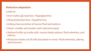 Reductive adaptation
Leads to
• liver makes glucose less—Hypoglycemia
• Heat production less—hypothermia
• kidneys less excretion of excess fluid and sodium.
• Heart- smaller and weaker with reduced output
• Sodium builds up inside cells--excess body sodium, fluid retention, and
edema.
• Potassium leaks out of cells (excreted in urine)--fluid retention, edema,
and anorexia.
 