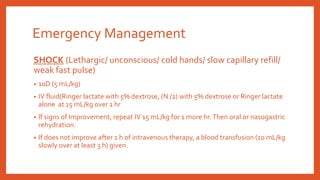 Emergency Management
SHOCK (Lethargic/ unconscious/ cold hands/ slow capillary refill/
weak fast pulse)
• 10D (5 mL/kg)
• IV fluid(Ringer lactate with 5% dextrose, (N /2) with 5% dextrose or Ringer lactate
alone at 15 mL/kg over 1 hr
• If signs of Improvement, repeat IV 15 mL/kg for 1 more hr.Then oral or nasogastric
rehydration.
• If does not improve after 1 h of intravenous therapy, a blood transfusion (10 mL/kg
slowly over at least 3 h) given.
 