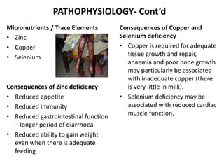 PATHOPHYSIOLOGY- Cont’d 
Micronutrients / Trace Elements 
• Zinc 
• Copper 
• Selenium 
Consequences of Zinc deficiency 
• Reduced appetite 
• Reduced immunity 
• Reduced gastrointestinal function 
– longer period of diarrhoea 
• Reduced ability to gain weight 
even when there is adequate 
feeding 
Consequences of Copper and 
Selenium deficiency 
• Copper is required for adequate 
tissue growth and repair, 
anaemia and poor bone growth 
may particularly be associated 
with inadequate copper (there 
is very little in milk). 
• Selenium deficiency may be 
associated with reduced cardiac 
muscle function. 
 