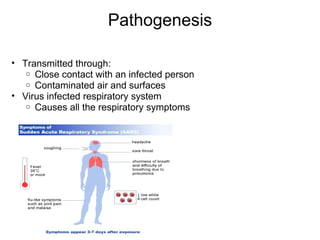 Pathogenesis Transmitted through: Close contact with an infected person Contaminated air and surfaces Virus infected respiratory system Causes all the respiratory symptoms  