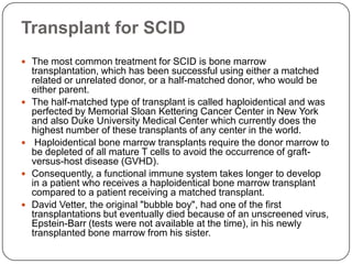 Transplant for SCID
 The most common treatment for SCID is bone marrow
    transplantation, which has been successful using either a matched
    related or unrelated donor, or a half-matched donor, who would be
    either parent.
   The half-matched type of transplant is called haploidentical and was
    perfected by Memorial Sloan Kettering Cancer Center in New York
    and also Duke University Medical Center which currently does the
    highest number of these transplants of any center in the world.
    Haploidentical bone marrow transplants require the donor marrow to
    be depleted of all mature T cells to avoid the occurrence of graft-
    versus-host disease (GVHD).
   Consequently, a functional immune system takes longer to develop
    in a patient who receives a haploidentical bone marrow transplant
    compared to a patient receiving a matched transplant.
   David Vetter, the original "bubble boy", had one of the first
    transplantations but eventually died because of an unscreened virus,
    Epstein-Barr (tests were not available at the time), in his newly
    transplanted bone marrow from his sister.
 