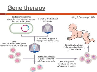 Gene therapy
 