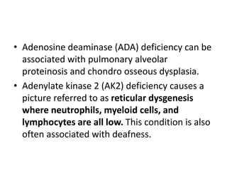 • Adenosine deaminase (ADA) deficiency can be
associated with pulmonary alveolar
proteinosis and chondro osseous dysplasia.
• Adenylate kinase 2 (AK2) deficiency causes a
picture referred to as reticular dysgenesis
where neutrophils, myeloid cells, and
lymphocytes are all low. This condition is also
often associated with deafness.
 