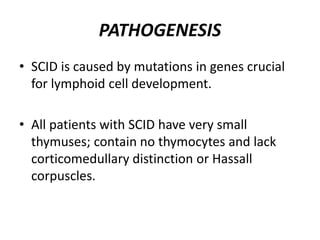 PATHOGENESIS
• SCID is caused by mutations in genes crucial
for lymphoid cell development.
• All patients with SCID have very small
thymuses; contain no thymocytes and lack
corticomedullary distinction or Hassall
corpuscles.
 