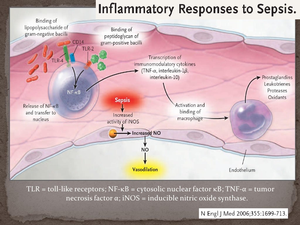 อาการ ของ Septic Shock