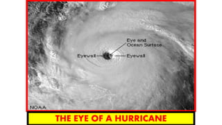 THE EYE OF A HURRICANE
 