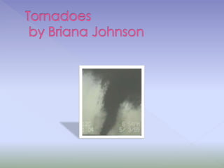 Tornadoes by Briana Johnson 