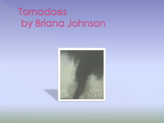 Tornadoes by Briana Johnson,[object Object]