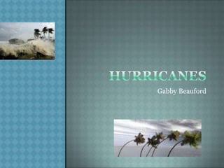 Hurricanes Gabby Beauford 
