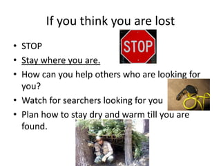 If you think you are lost
• STOP
• Stay where you are.
• How can you help others who are looking for
you?
• Watch for searchers looking for you
• Plan how to stay dry and warm till you are
found.
 