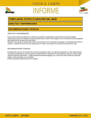 Agrotestigo-Maiz DEKALB-Campaña 1314-Informe Floración-SEVERINI JORGE HUMBERTO-Nº 109