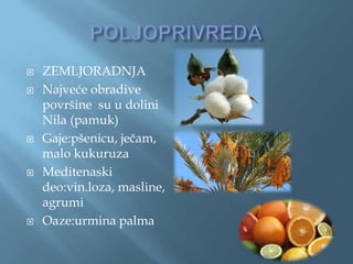    ZEMLJORADNJA             

   Najveće obradive
    površine su u dolini
    Nila (pamuk)
   Gaje:pšenicu, ječam,
    malo kukuruza
   Meditenaski
    deo:vin.loza, masline,
    agrumi
   Oaze:urmina palma
 
