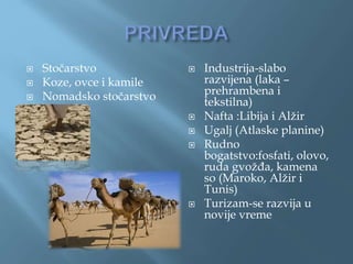  Stočarstvo
 Koze, ovce i kamile
 Nomadsko stočarstvo

 Industrija-slabo
razvijena (laka –
prehrambena i
tekstilna)
 Nafta :Libija i Alžir
 Ugalj (Atlaske planine)
 Rudno
bogatstvo:fosfati, olovo,
ruda gvožđa, kamena
so (Maroko, Alžir i
Tunis)
 Turizam-se razvija u
novije vreme
 