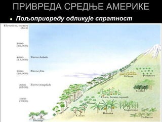 ПРИВРЕДА СРЕДЊЕ АМЕРИКЕ
● Пољопривреду одликује спратност
 