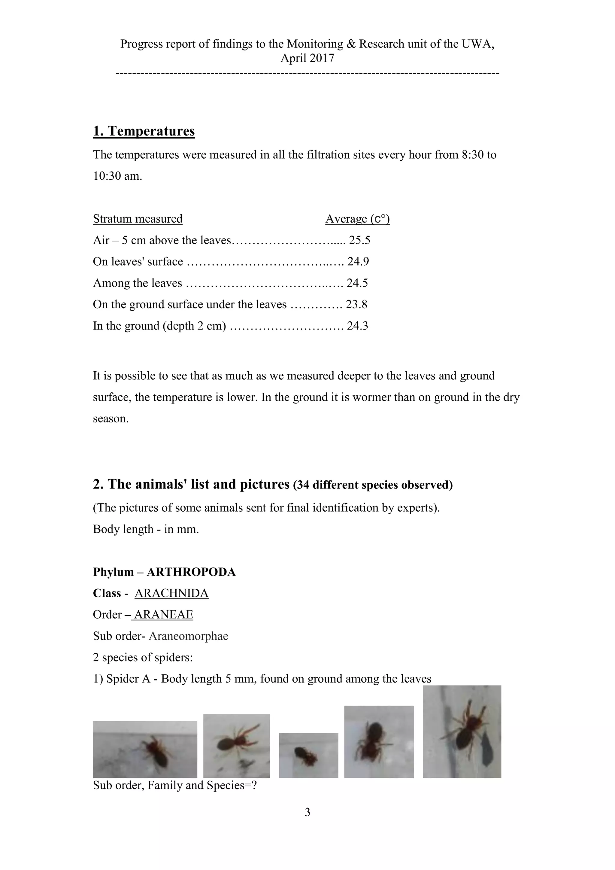 Progress report of findings to the Monitoring & Research unit of the UWA,
April 2017
---------------------------------------------------------------------------------------------
3
1. Temperatures
The temperatures were measured in all the filtration sites every hour from 8:30 to
10:30 am.
Stratum measured Average (c°)
Air – 5 cm above the leaves……………………..... 25.5
On leaves' surface ……………………………..…. 24.9
Among the leaves ……………………………..…. 24.5
On the ground surface under the leaves …………. 23.8
In the ground (depth 2 cm) ………………………. 42 .3
It is possible to see that as much as we measured deeper to the leaves and ground
surface, the temperature is lower. In the ground it is wormer than on ground in the dry
season.
2. The animals' list and pictures (34 different species observed)
(The pictures of some animals sent for final identification by experts).
Body length - in mm.
Phylum – ARTHROPODA
Class - ARACHNIDA
Order – ARANEAE
Sub order- Araneomorphae
2 species of spiders:
1) Spider A - Body length 5 mm, found on ground among the leaves
Sub order, Family and Species=?
 
