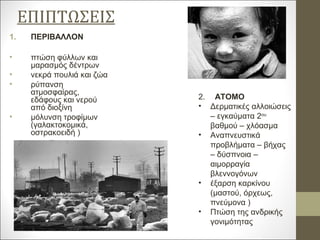 ΕΠΙΠΤΩΣΕΙΣ
1. ΠΕΡΙΒΑΛΛΟΝ
• πτώση φύλλων και
μαρασμός δέντρων
• νεκρά πουλιά και ζώα
• ρύπανση
ατμοσφαίρας,
εδάφους και νερού
από διοξίνη
• μόλυνση τροφίμων
(γαλακτοκομικά,
οστρακοειδή )
2. ΑΤΟΜΟ
• Δερματικές αλλοιώσεις
– εγκαύματα 2ου
βαθμού – χλόασμα
• Αναπνευστικά
προβλήματα – βήχας
– δύσπνοια –
αιμορραγία
βλεννογόνων
• έξαρση καρκίνου
(μαστού, όρχεως,
πνεύμονα )
• Πτώση της ανδρικής
γονιμότητας
 